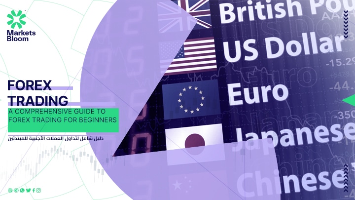 A Comprehensive Guide to Getting Started in the Forex Market