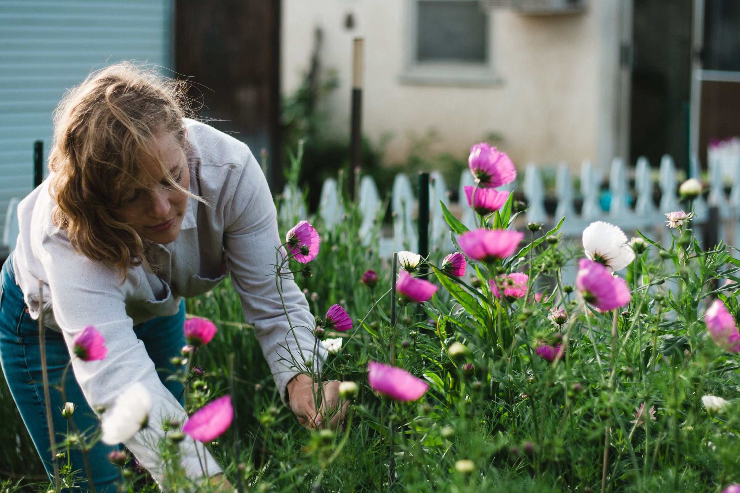 Creating a Thriving Cut Flower Garden in San Diego