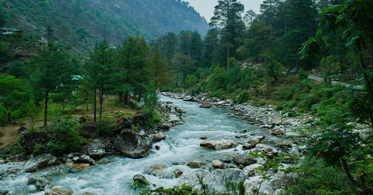 Discovering the Enchanting Jibhi Valley: A Comprehensive Guide