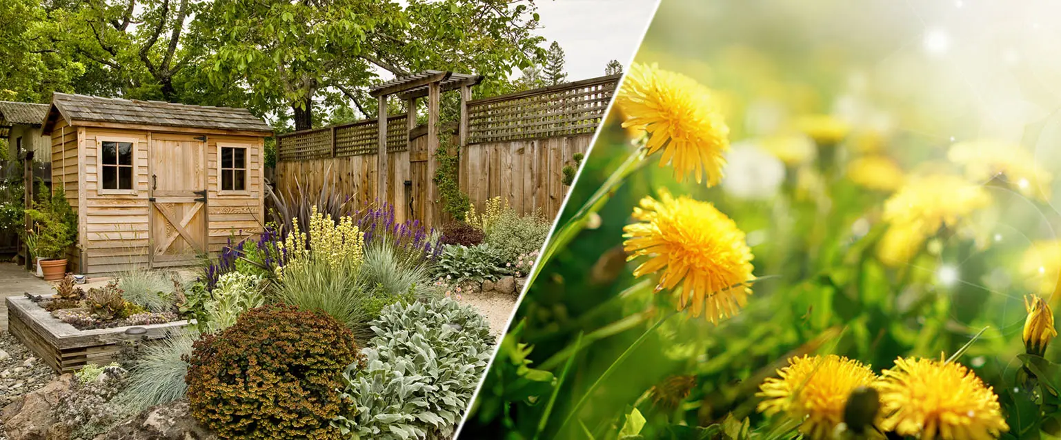 Essential Tips and Techniques to Ensure Your Flower Garden Thrives