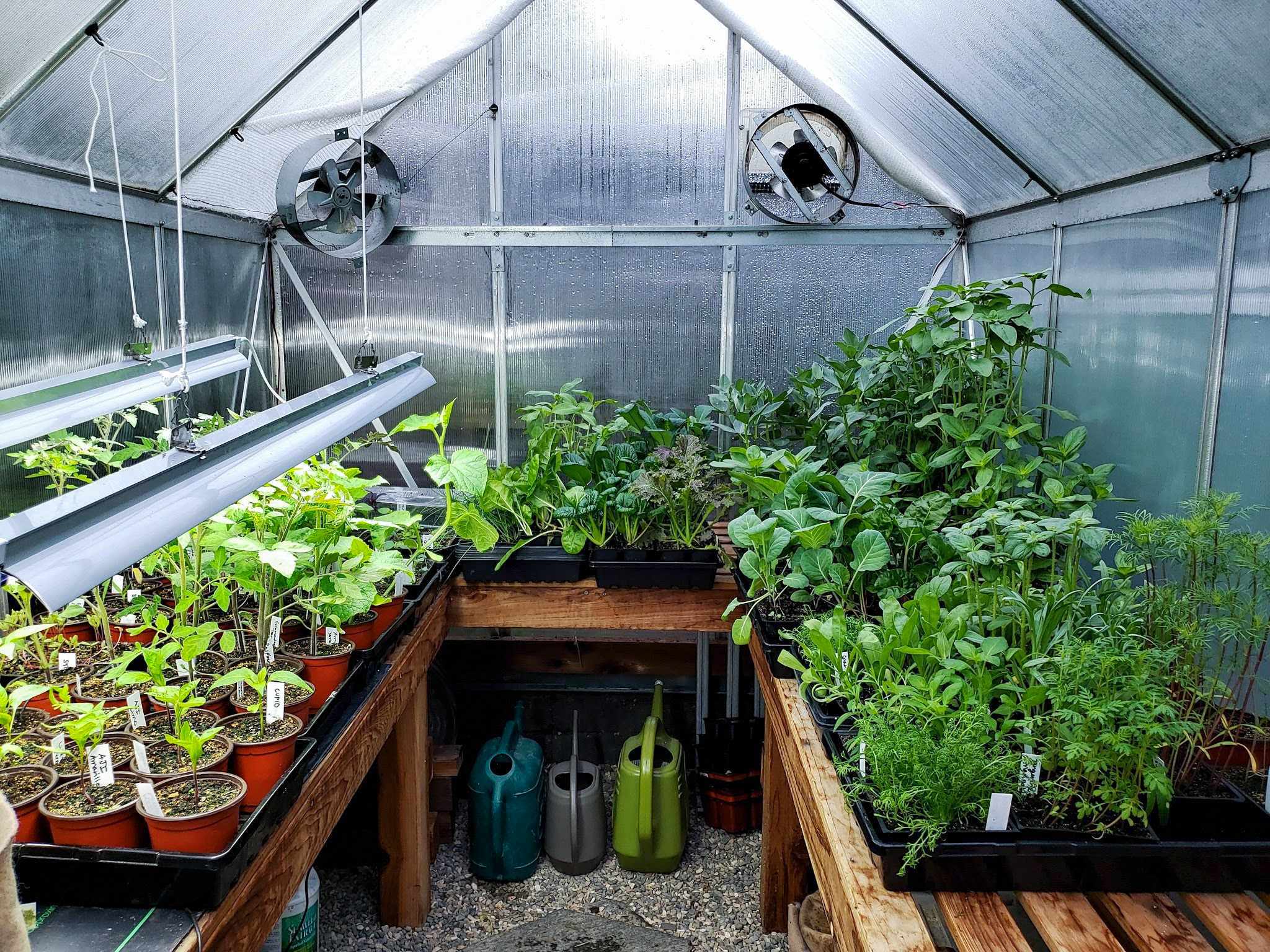 hot house gardening tips