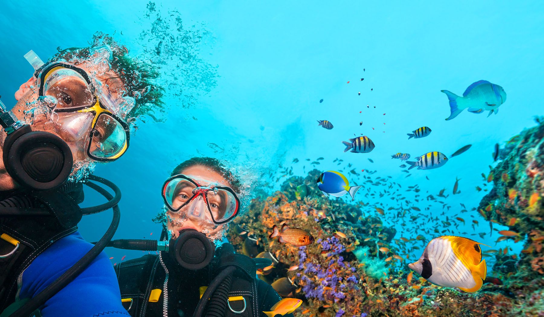 Is There Good Scuba Diving in Antigua? Exploring the Underwater World