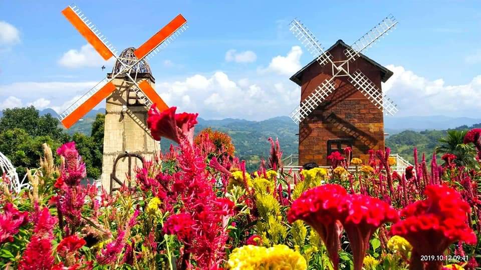 Journey to Sirao Flower Garden: A Comprehensive Guide from Cebu City