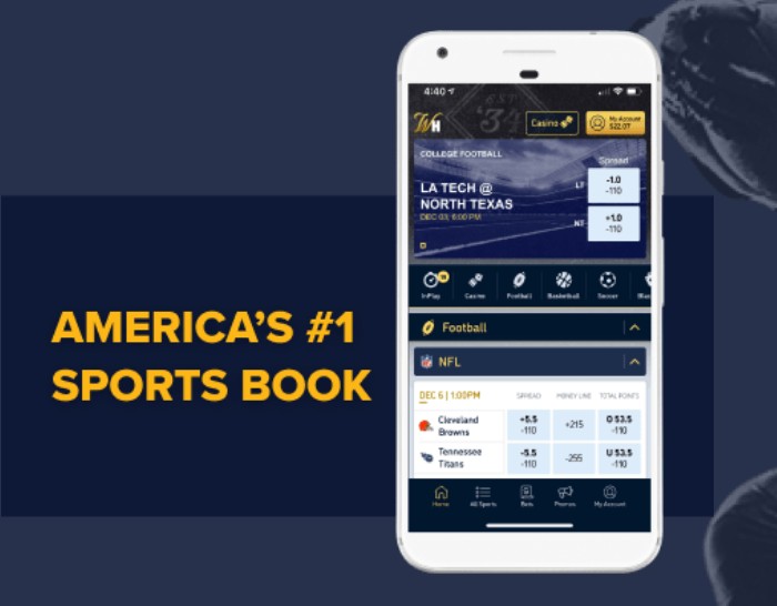 Mobile Sports Betting in New York: What to Expect in 2025