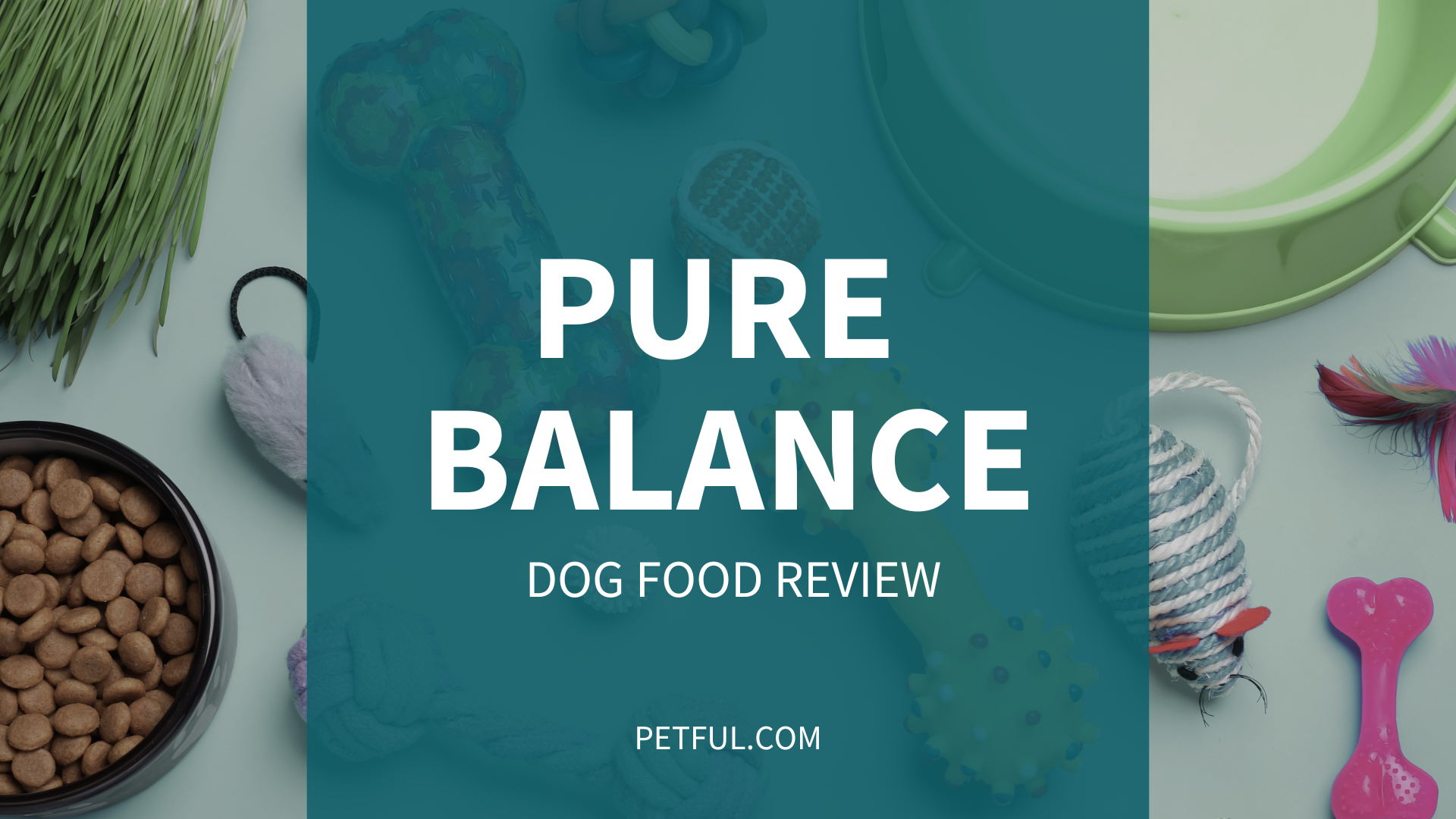 Pure Balance Dog Food: A Comprehensive Buyer’s Guide