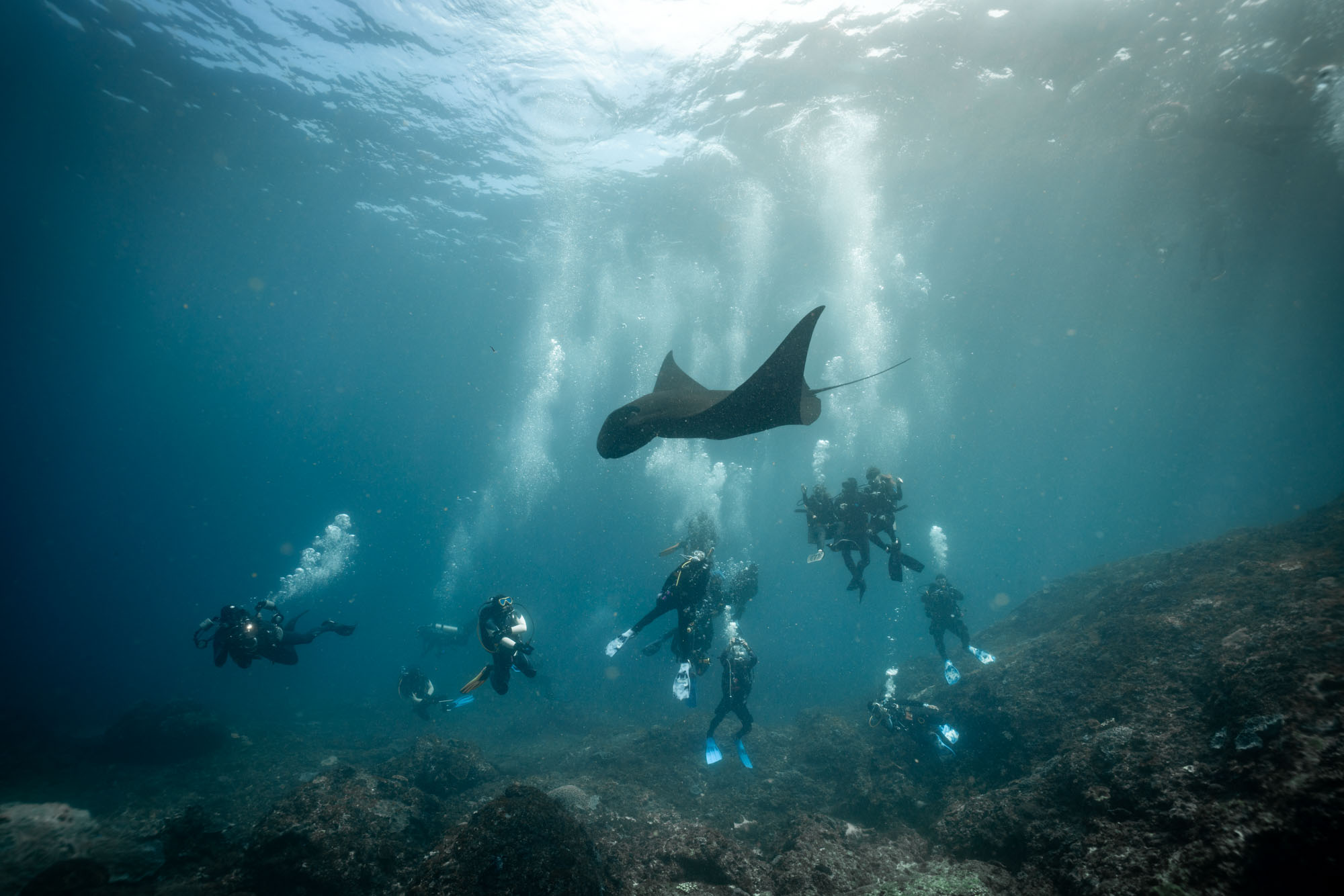 Scuba Diving in Bali: A Guide to the Best Dive Sites