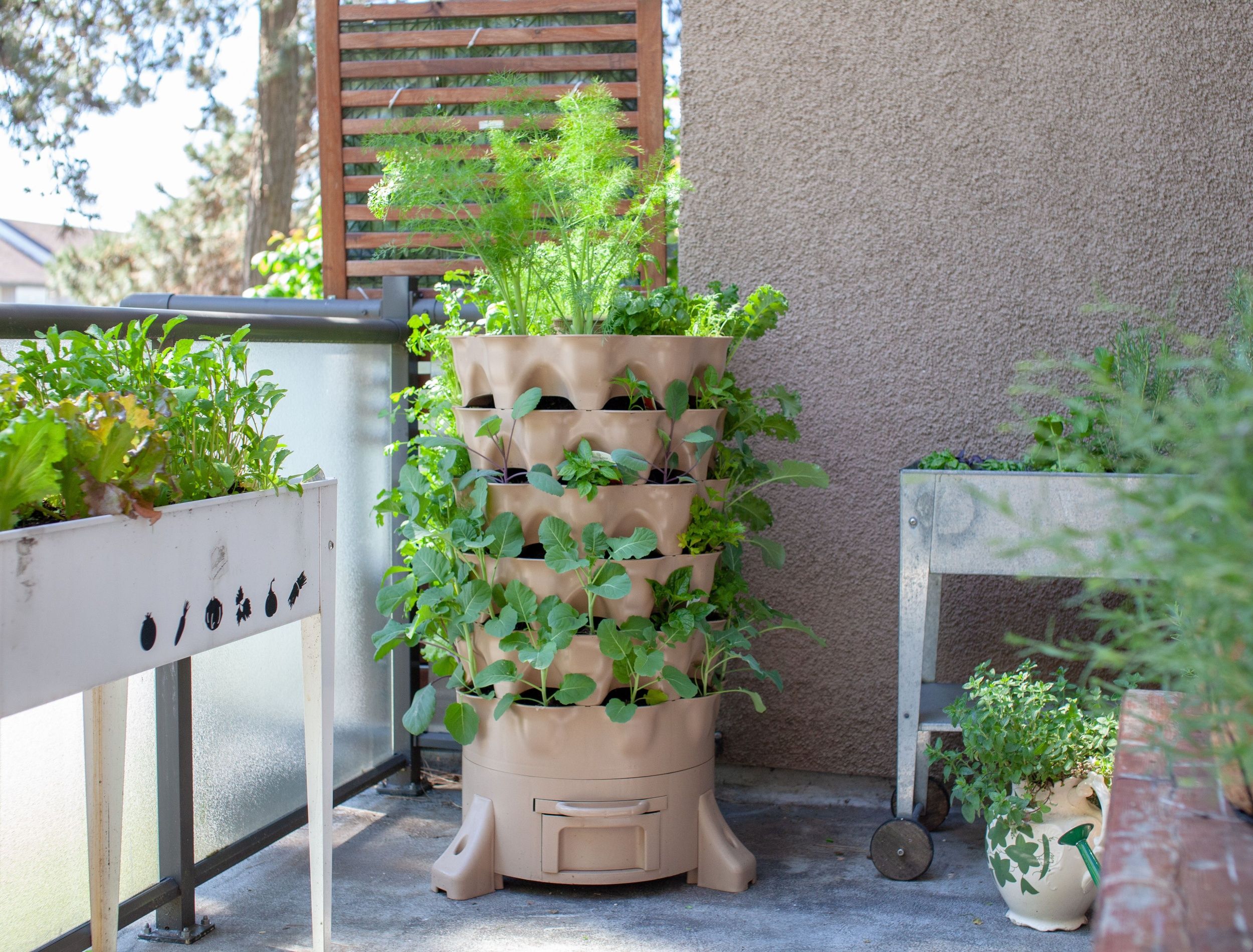 Small-Space Gardening: Tips and Tricks to Maximize Your Garden in Compact Areas