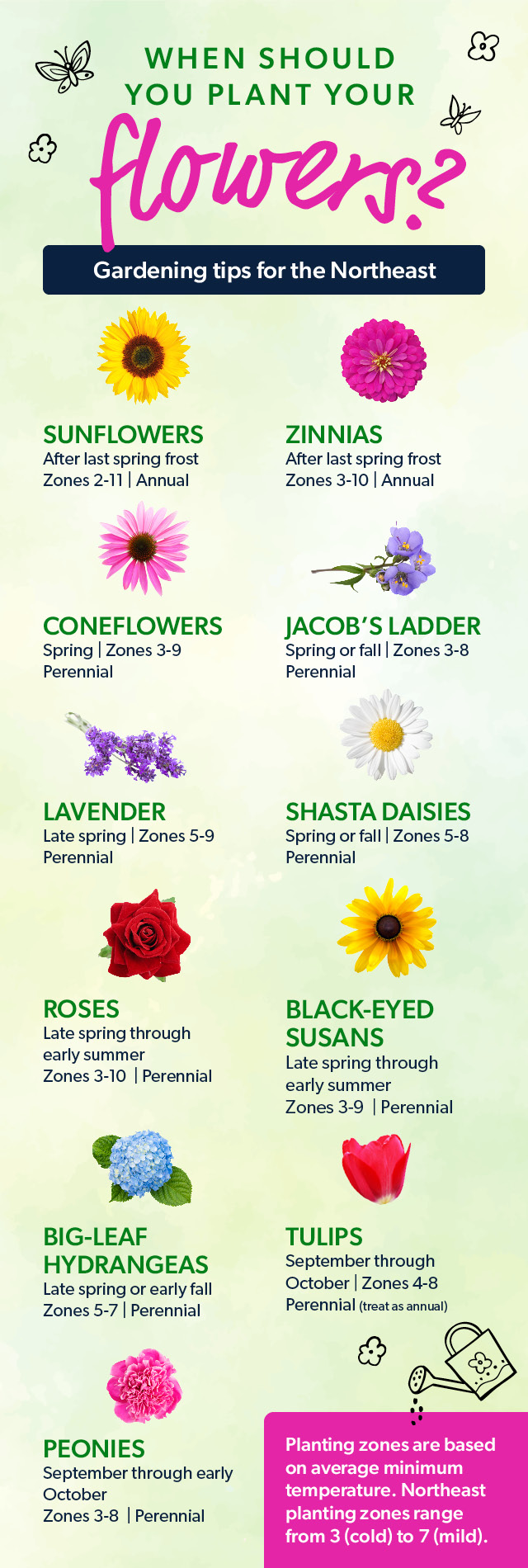 The Best Time to Plant Flowers: A Comprehensive Guide