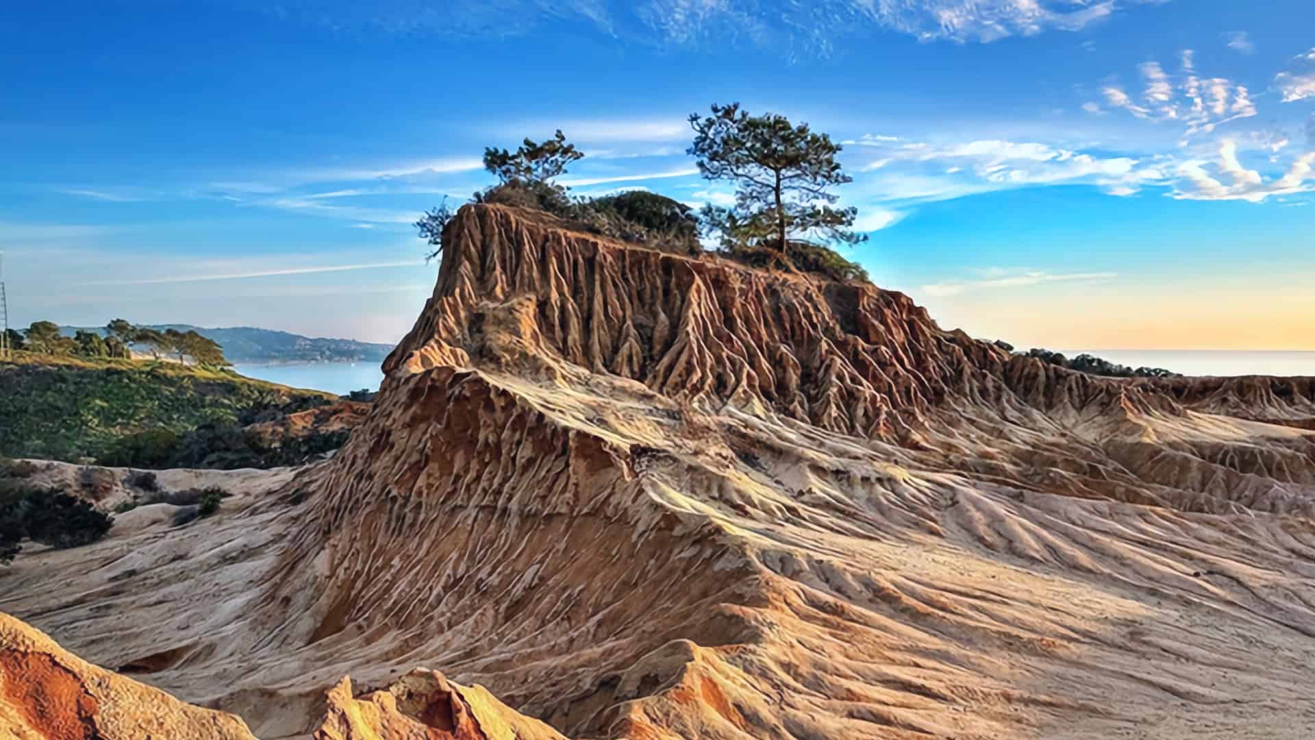 Torrey Pines Hiking Trails: Status, Tips, and FAQs