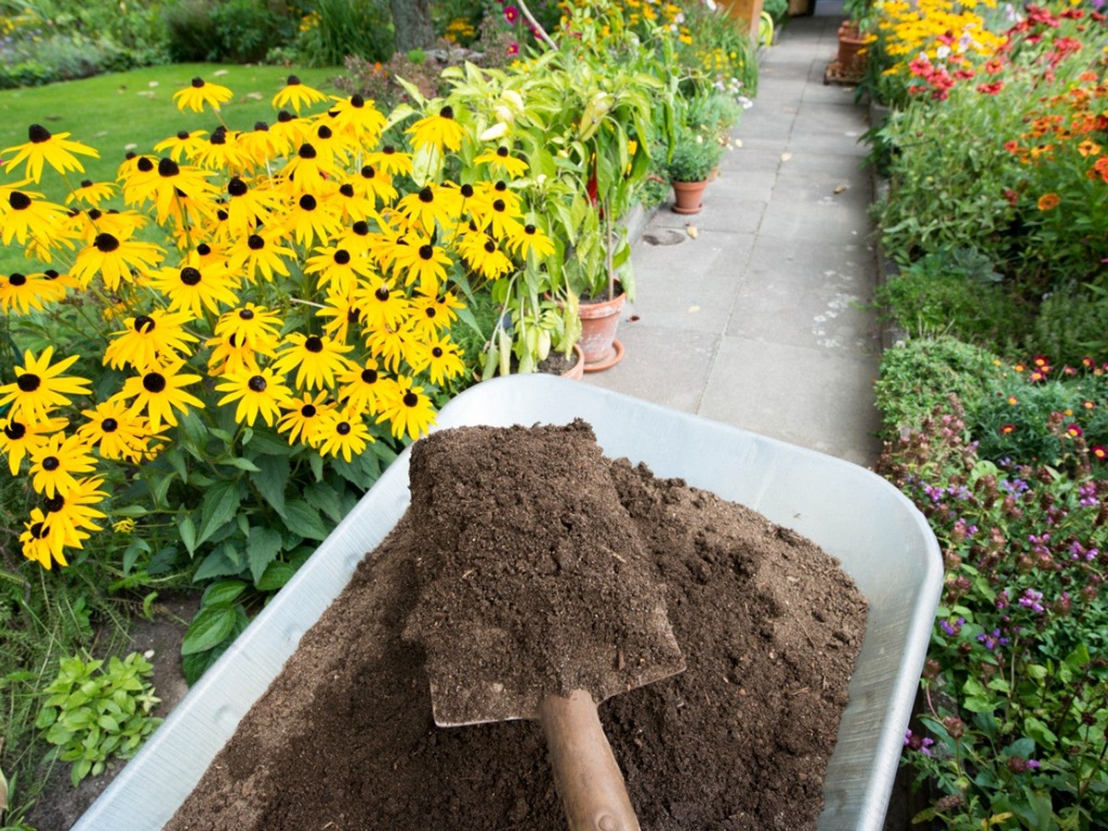 When to Add Compost to Your Flower Garden
